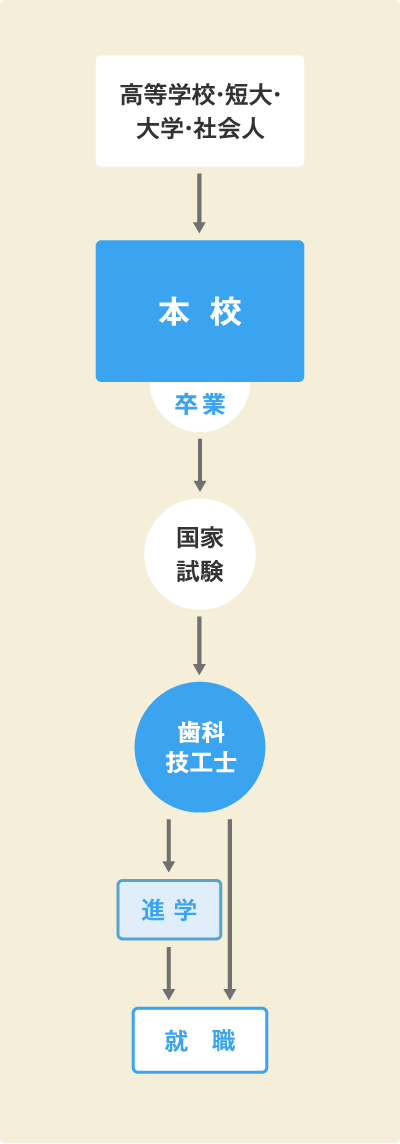 歯科技工士の資格を取る