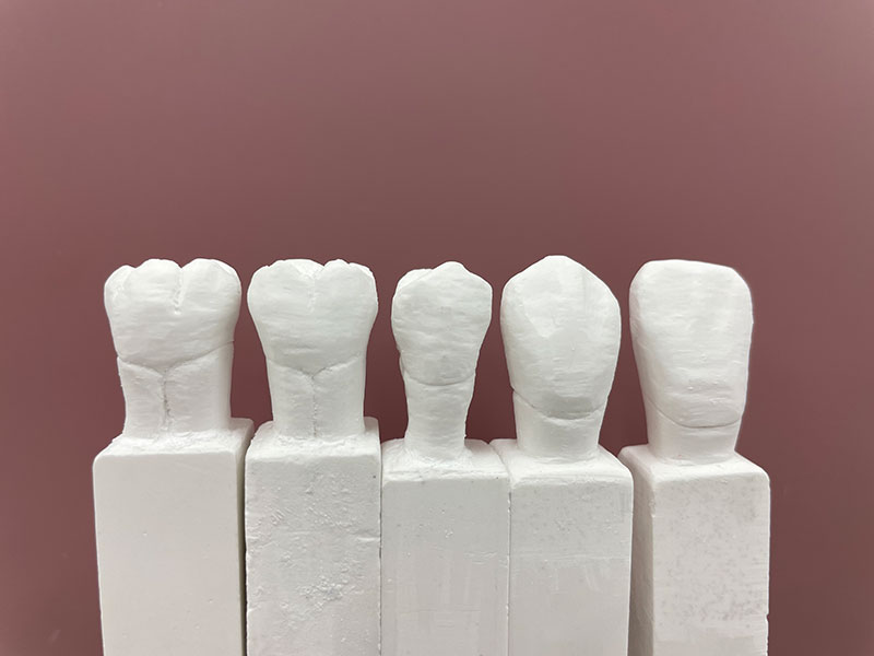 一年生 歯型彫刻（衛生士科）