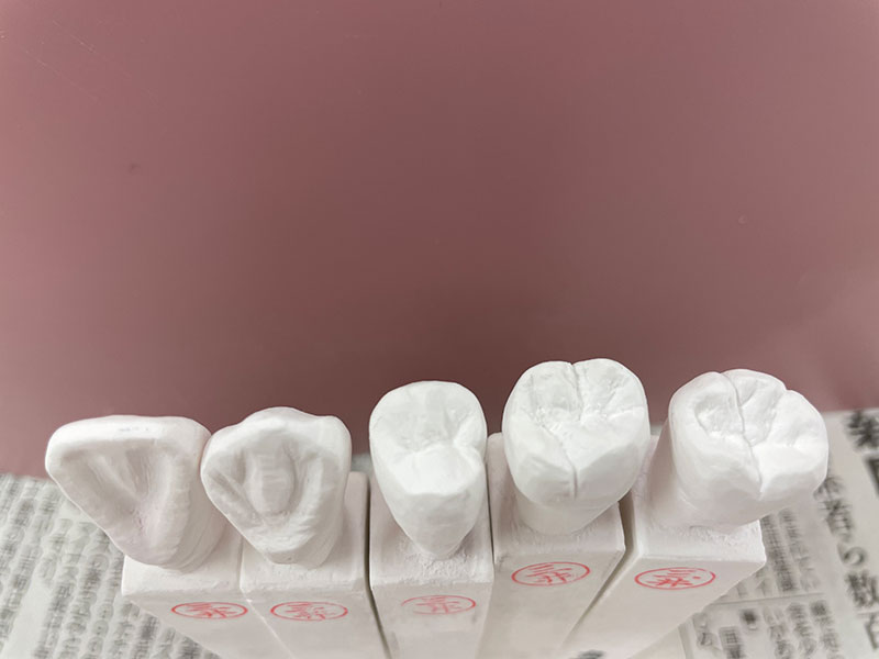 一年生 歯型彫刻（衛生士科）
