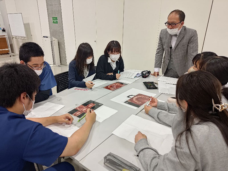歯の解剖学グループワーク(両科共通)