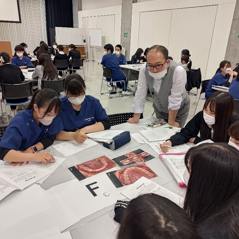 歯の解剖学グループワーク(両科共通)