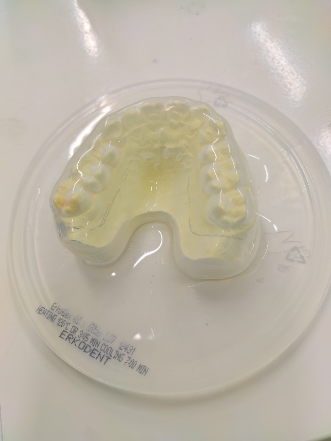 マウスガードセミナー（技工士科）